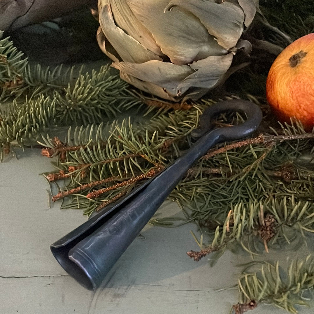 a close up of an apple on the ground next to an apple