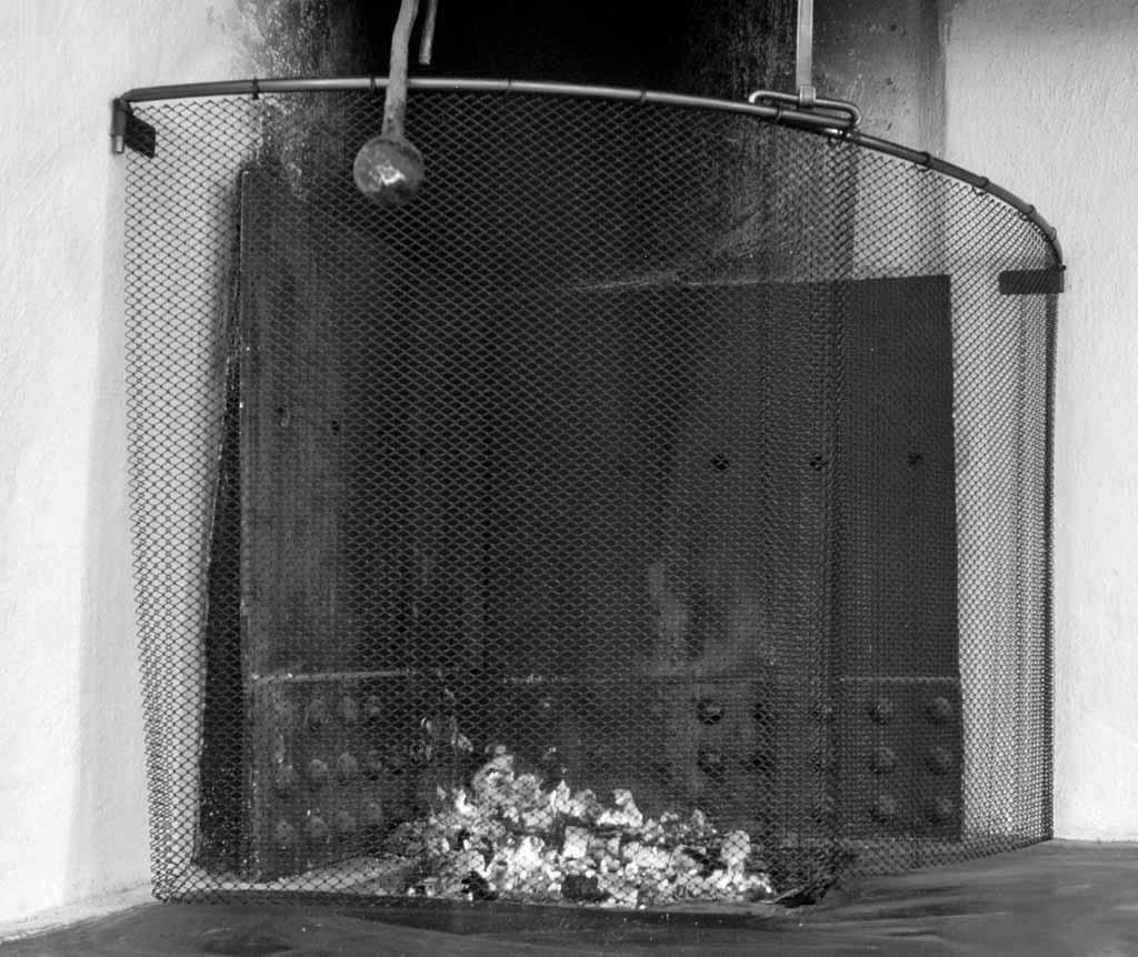 a black and white photo of a fire hydrant 